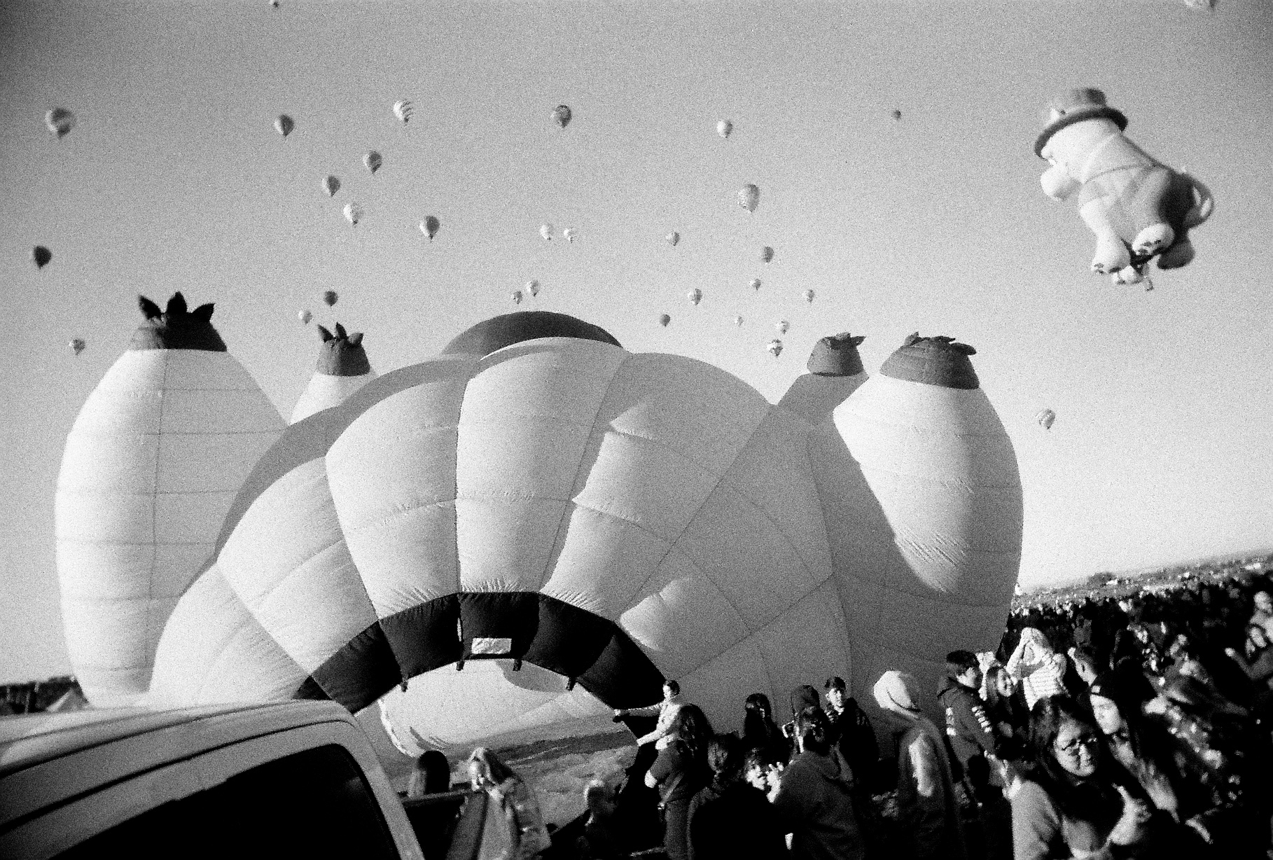 Albuquerque on Film: 2025